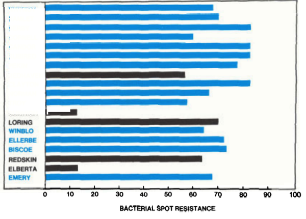 Bar graph of resistance to bacterial spot for Loring, Winblo, Ellerbe, Biscoe, Redskin, Elberta, and Emery cultivars