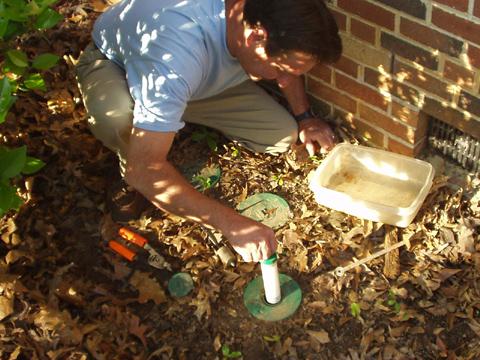 Inserting bait tube into a termite bait station