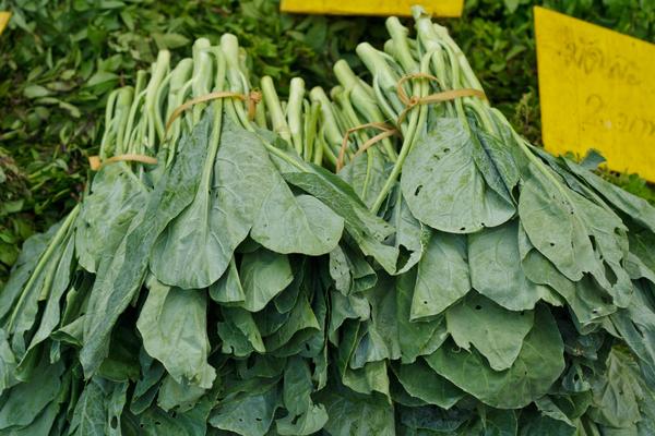 Photo of kale bunches at a market.