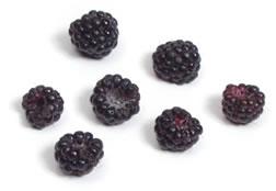 7 black raspberries on a white background showing hollow cores