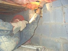 Inspecting a crawlspace for termties