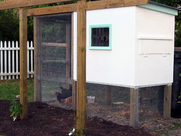 White coop with fenced outdoor space