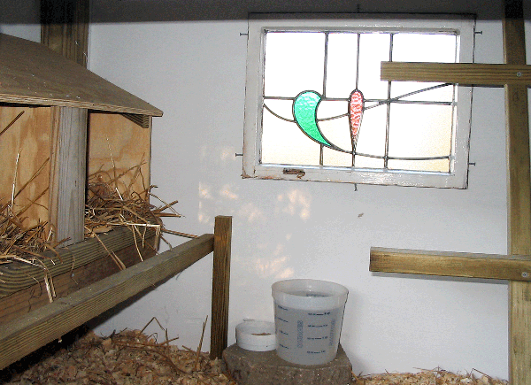 Nesting boxes and perches on the interior of a coop
