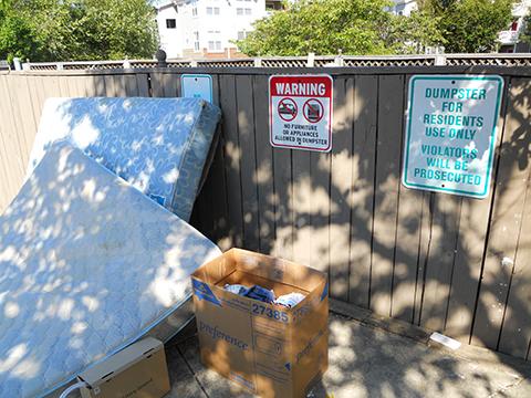Discarded mattresses can spread bed bugs