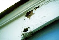 Damaged wood trim exterior of house near roof