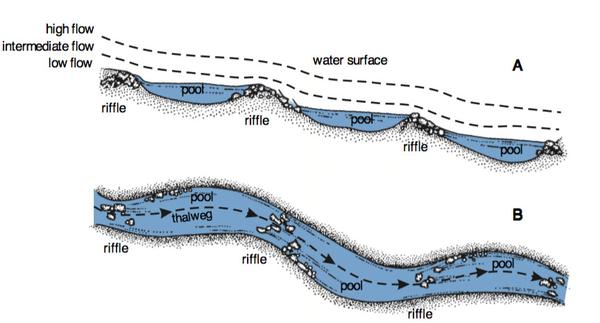 Figure 5. Bed and water surface slope.