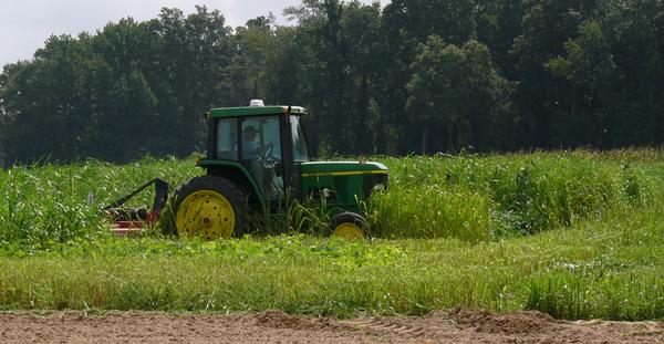 Photo of a flail mower in the field.