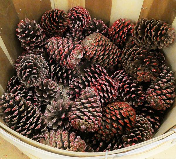 basket of painted pine cones