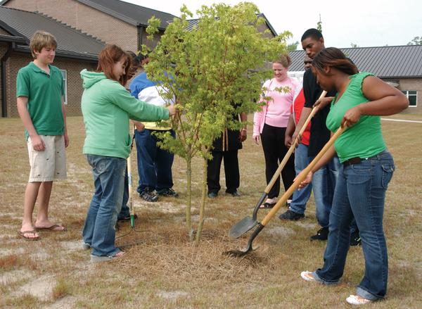 A group of people plant a tree.
