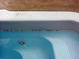 Photo of dead millipedes floating in swimming pool