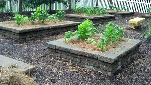 Photo of three planted raised beds framed in stone