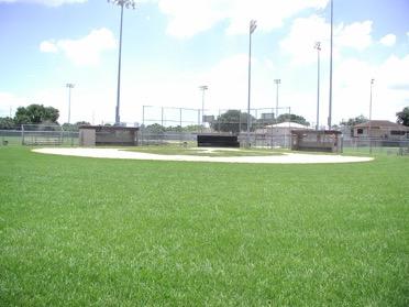 Medium softball/baseball field.