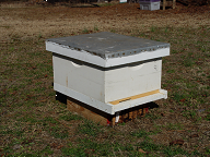 Figure 2. An assembled 'starter' hive.