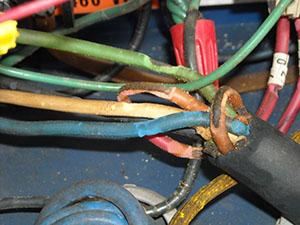 Electrical wiring chewed by fire ants.