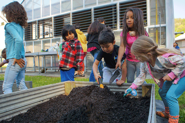 Young students use children’s garden tools to dig in soil in a raised bed.