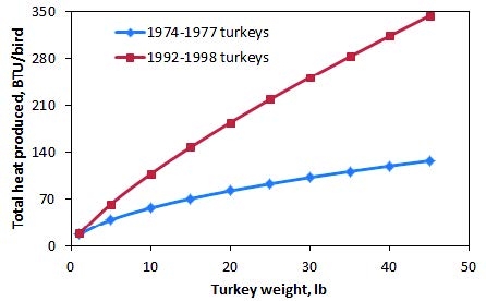 Graph showing the relationship between turkey weight (in pounds) and total heat produced (in BTU/bird) for genetic lines: 1974-1977 and 1992-1998