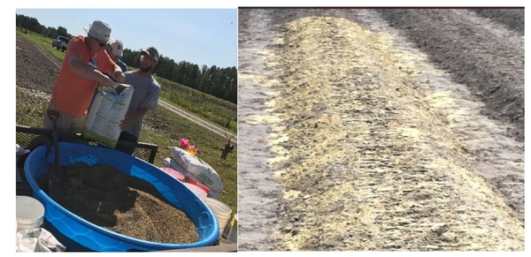People prep carbon sources in a plastic wading pool (left) and a prepared bed (right)