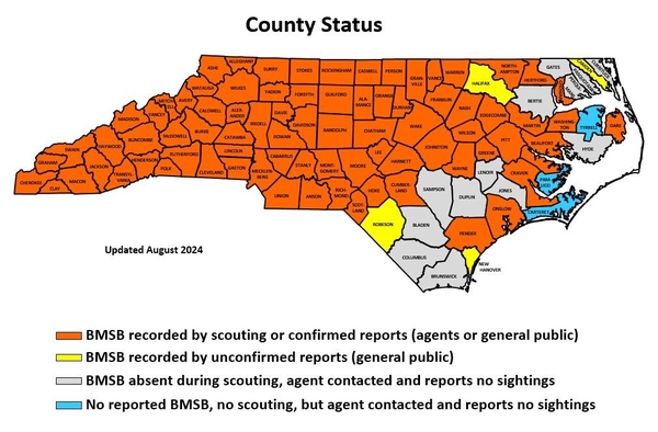 Map showing North Carolina counties with confirmed brown marmorated stink bug observations