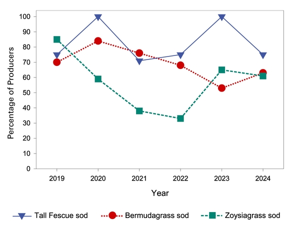 Graph showing stable supplies of tall fescue, bermudagrass, and zoysiagrass from 2019 to 2024.