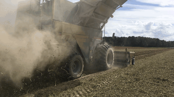 Dust plume coming off large combine in field