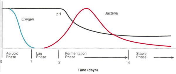 Rapid decrease in oxygen, followed by fermentation, during which pH decreases and bacteria increase then decrease to a stable phase after 3 or more weeks.