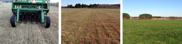 Back end of no-till planter drilling seed into a bermudagrass field.