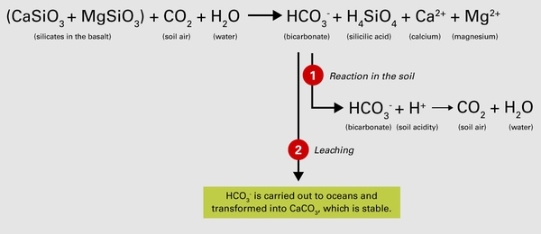 Flow chart tracing the conversion of basalt to bicarbonate, which can react in the soil, increasing its pH, or leach into groundwater and be converted to calcium carbonate in the o