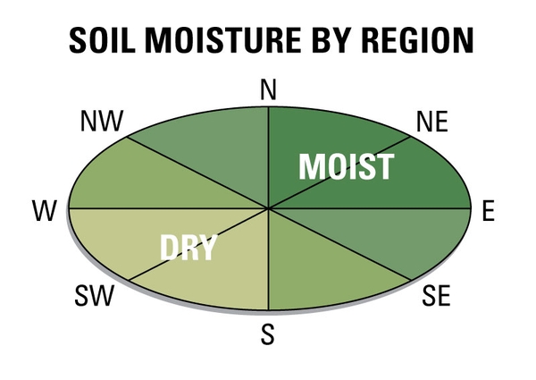 North to east aspects are most moist while south to west aspects are driest.