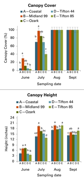 Graphs comparing canopy cover percentage and canopy height for each cultivar from June through September.