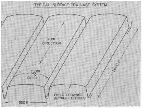 Drawing shows row direction, field crowned between ditches, flow to ditch. 330 ft between ditches, row is 2600 ft.