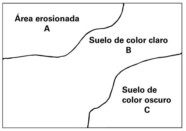 Figura 1. Dentro de cada campo, tome una muestra separada d