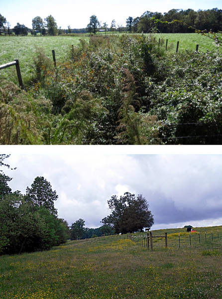 Top photo 10 ft exclusion fence; bottom 50 to 90 ft fence.