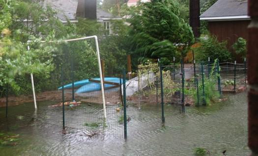 Photo of fenced garden with floodwater covering plants