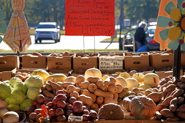 Fall produce at NC State Farmers Market