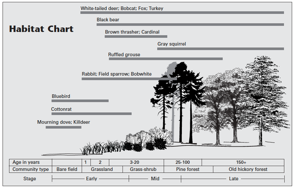 Forest habitat chart.