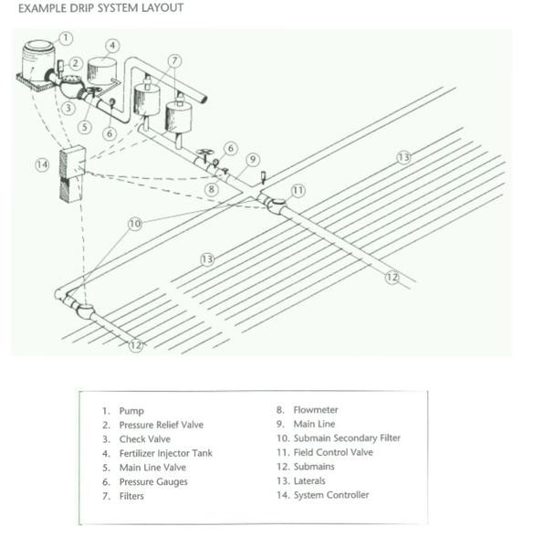 Example of drip irrigation system.