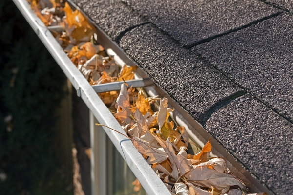 gutters clogged with leaves