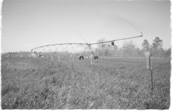 Black and white photo of irrigation system in use and collection cans on stakes