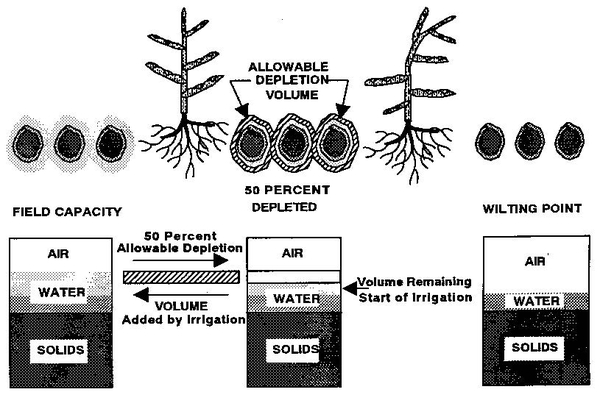 Illustration of field capacity, 50 percent depleted and wilting point