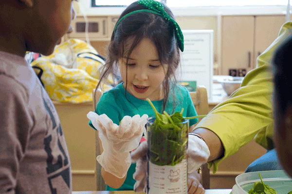 A child and teacher wear gloves while measuring spinach in a cooking class.