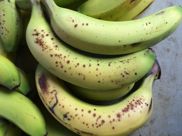 bunch of bananas with brown spots