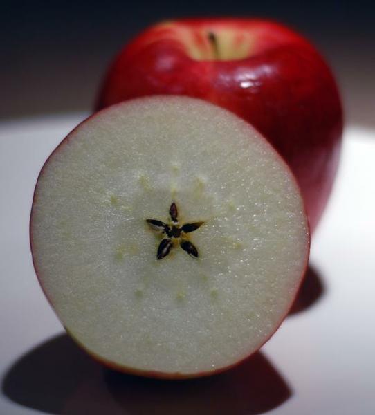 Apple, sliced in half, showing the star shape formed by the seeds.