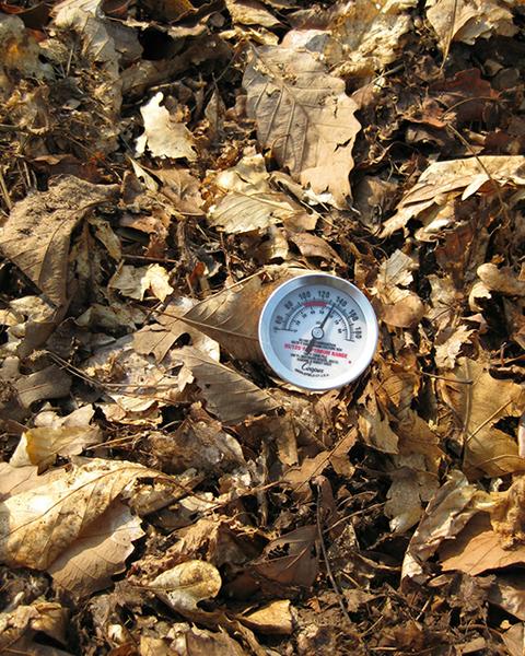 Compost thermometer.