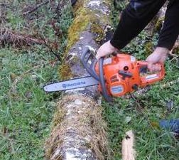 person using chainsaw on tree trunk laying on ground