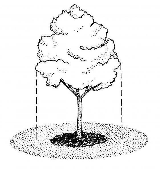 fertilizer application illustration