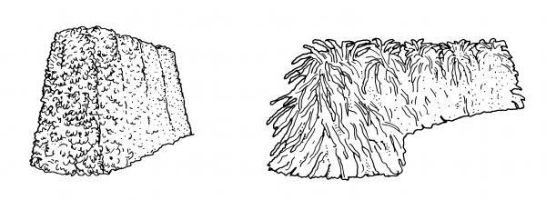 illustration of hedge shapes