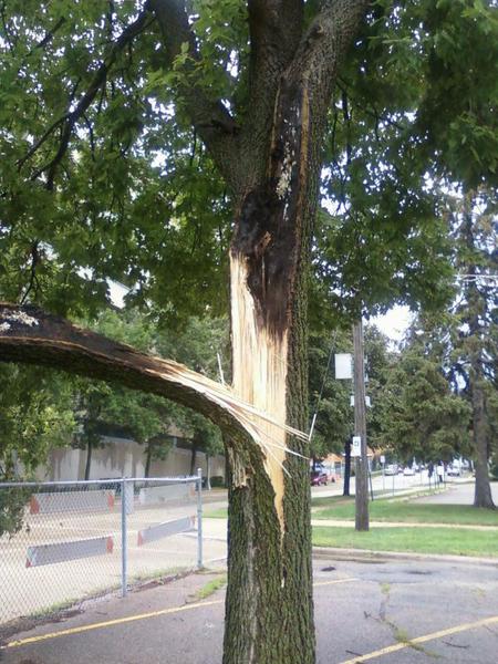 lightning strike caused burned and split branches