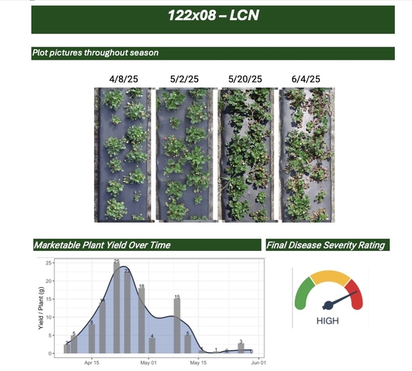 Plot pictures throughout season and graph of Marketable Plant Yield Over Time