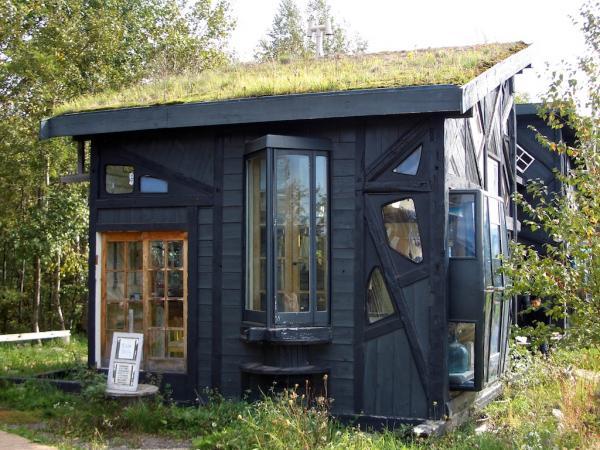 green roof on black shed