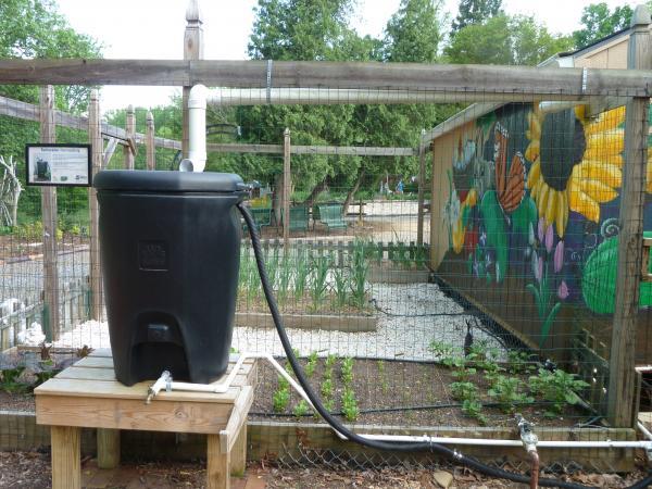 rain barrel in front of fenced garden area